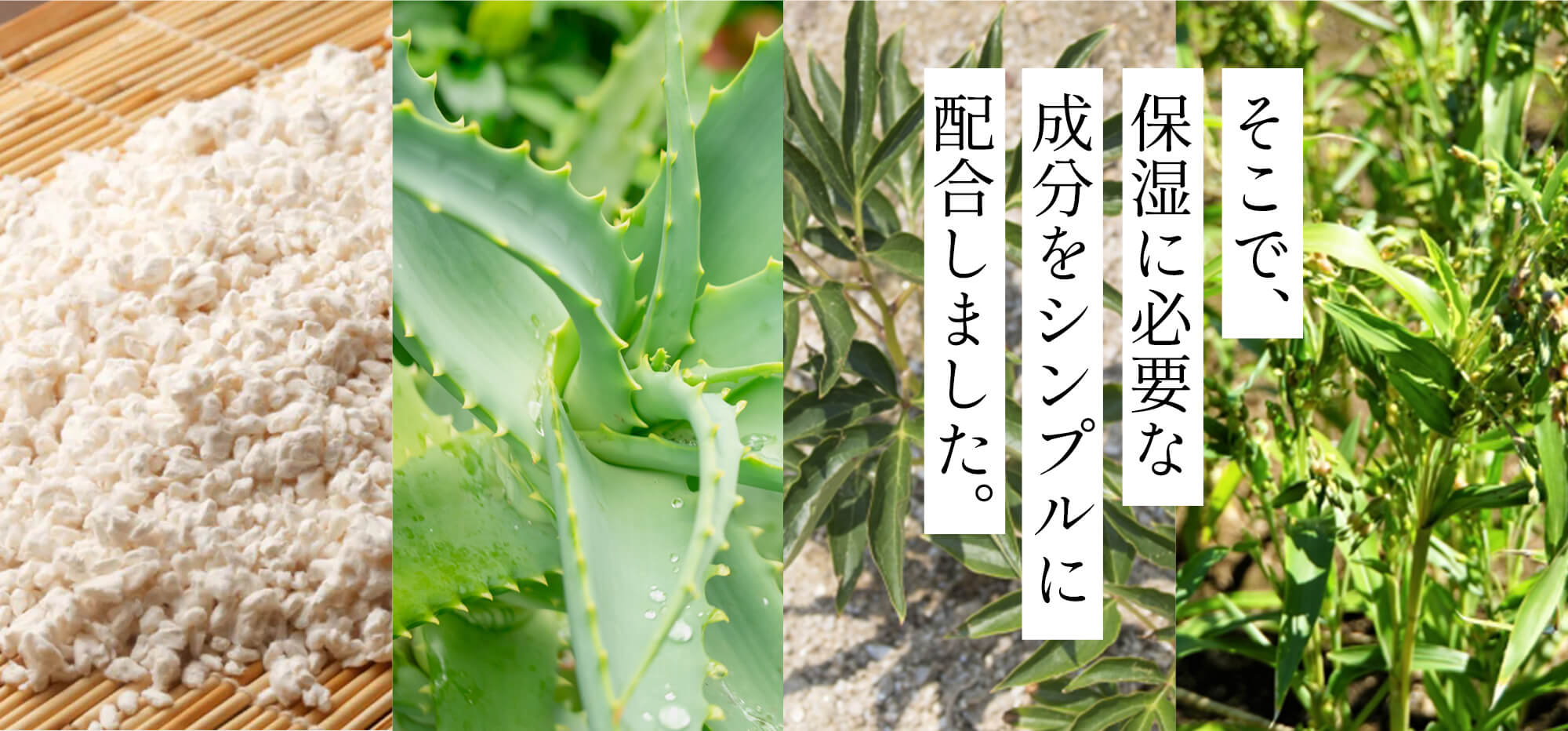 そこで、保湿に必要な成分をシンプルに配合。